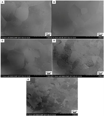 Nonlinear Oxidation Behavior in Pure Ni and Ni-Containing Entropic Alloys